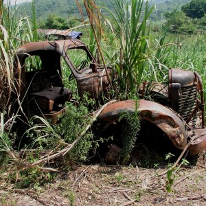 Media Luna 2005 reupload