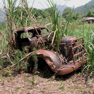 Media Luna 2005 reupload