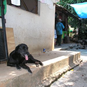 Media Luna 2005 reupload