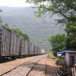 Media Luna 2005 reupload