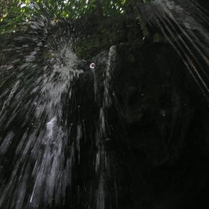 Media Luna 2005 reupload