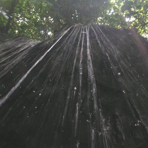 Media Luna 2005 reupload