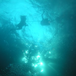 Media Luna 2005 reupload