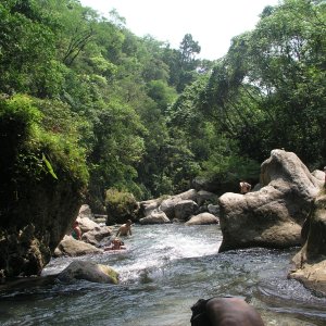 Media Luna 2005 reupload