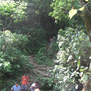 Media Luna 2005 reupload