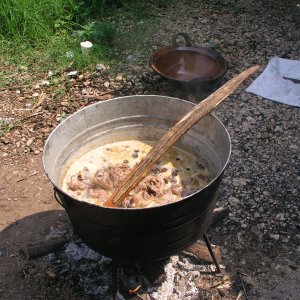 Media Luna 2005 reupload