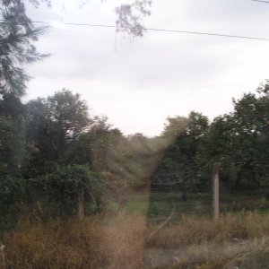 Media Luna 2005 reupload