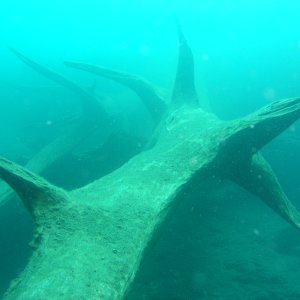 Media Luna 2005 reupload