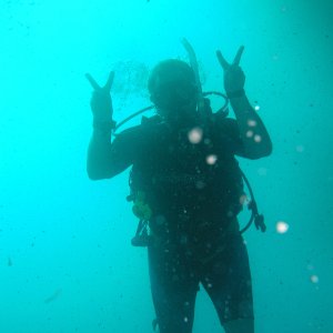 Media Luna 2005 reupload