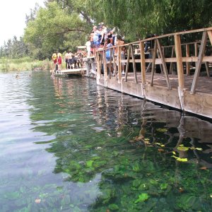 Media Luna 2005 reupload