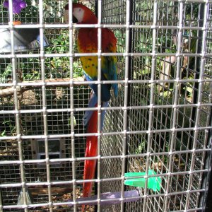 Spiegel Groovy 2005 reupload