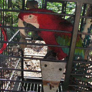 Spiegel Groovy 2005 reupload