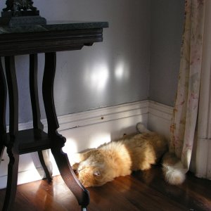 Spiegel Groovy 2005 reupload