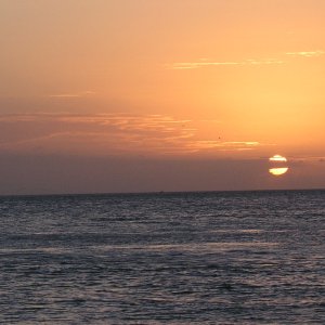 Spiegel Groovy 2005 reupload