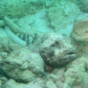 Spiegel Groovy 2005 reupload