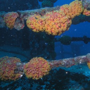 Spiegel Groovy 2005 reupload