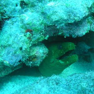 Spiegel Groovy 2005 reupload