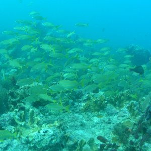 Spiegel Groovy 2005 reupload