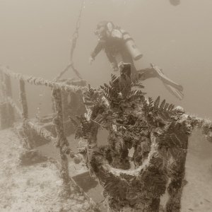 Spiegel Groovy 2005 reupload