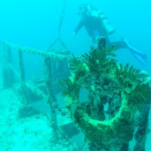 Spiegel Groovy 2005 reupload