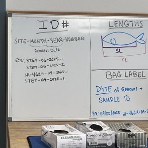 7 - task list