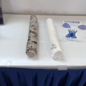 13 - core samples prior to installing U-bolt