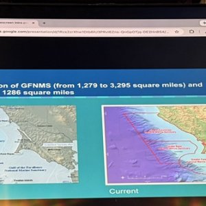 Greater Farallones NMS & Cordell Bank NMS - June 2026