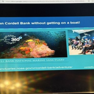 June presentation by Jenny Stock