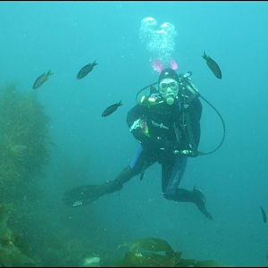 dfishwoman @ Blue Car Wreck