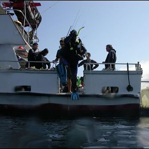 McLot with a Giant Stride