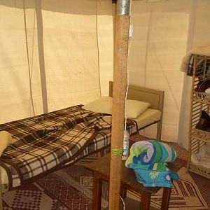 With Intent to Sleep