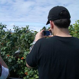 Sushi Boy likes to take pictures of boobies