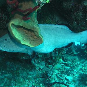 Workin at the car wash...