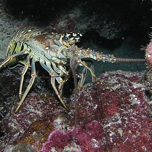 down...down...down...down