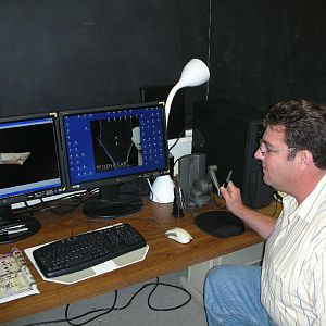 Kytnut and the virtual bone