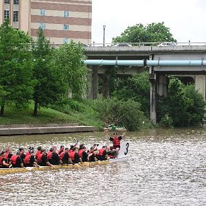 Bring me the head of a dragon