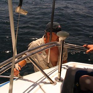 IMG_0390