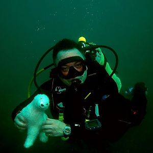 Mclot takes Wet for a Dive