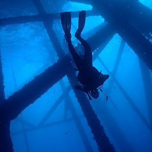 Squid chills in the Rig