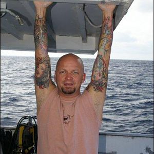 Squid Just Hanging Around