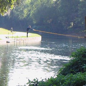 Professional trash search line?