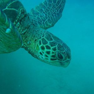 CopyofIMG_7271_1_1