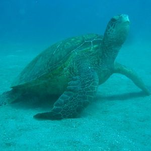 CopyofIMG_7245_2_1_932891