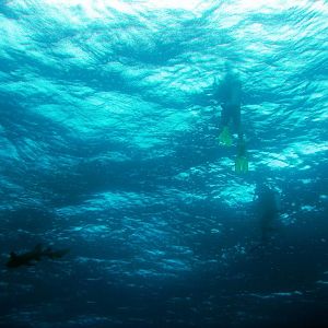 StormySeaFromUnderwater