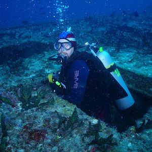 Silver Tipped Wreck Shark
