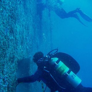 Kytnut Ouback going in Spiegle