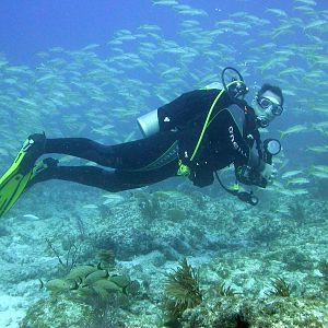 Diver Dan - swimming with the fishes