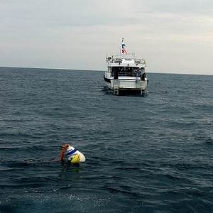 Spree and Clipper Mooring Buoy