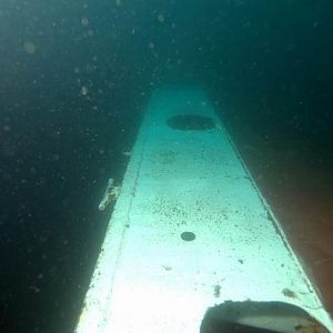 First Shot on the Clipper