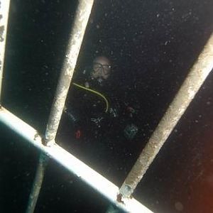 Squid in his natural habitat